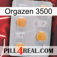 Orgazen 3500 24